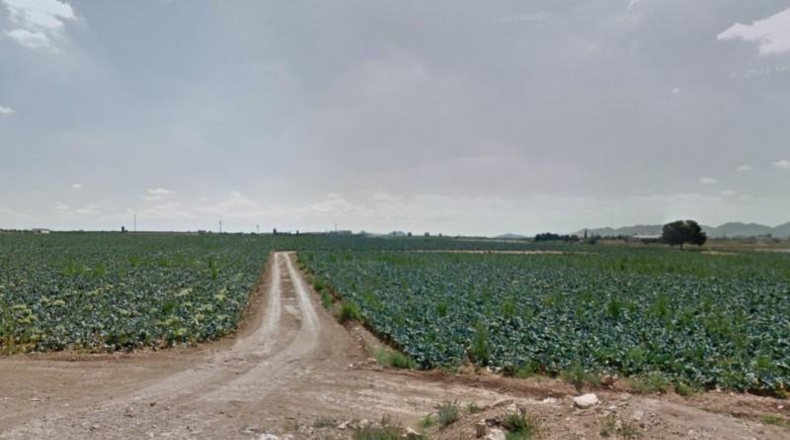 Мурсия - Fuente Álamo de Murcia - 68960m2