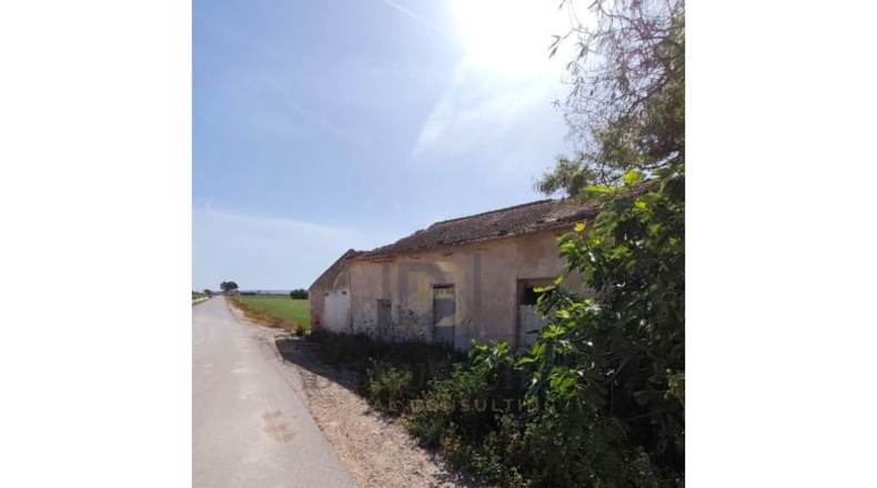 Alicante - Dolores - 7175m2
