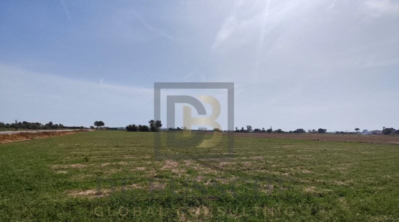 Alicante - Dolores - 7175m2