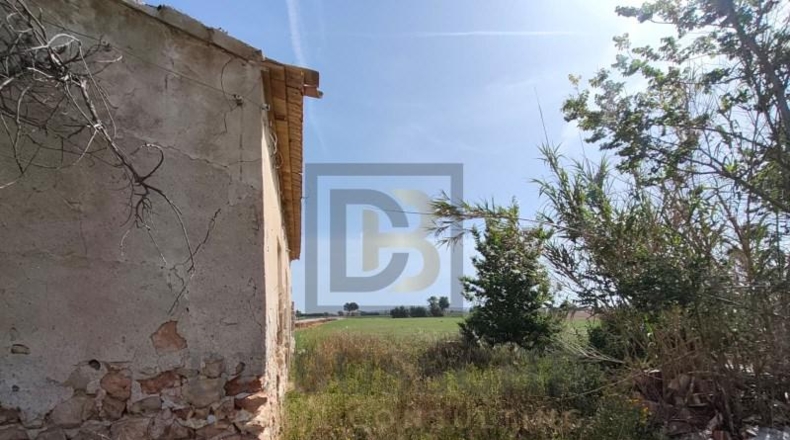 Alicante - Dolores - 7175m2