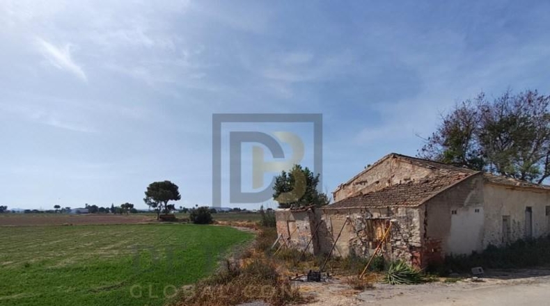 Alicante - Dolores - 7175m2