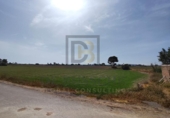 Chalet independiente con terreno en venta en la España, Dolores, ref: TR412723 foto
