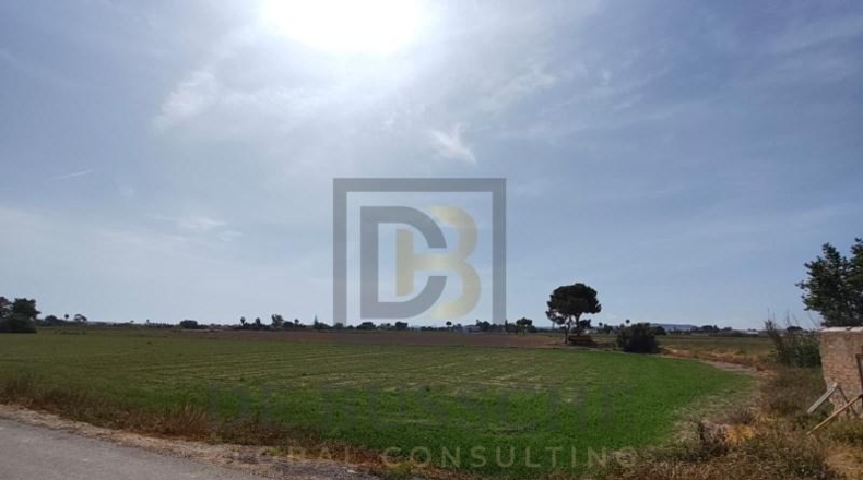 Alicante - Dolores - 7175m2
