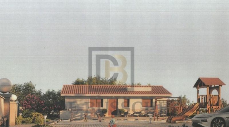 Alicante - Dolores - 7175m2