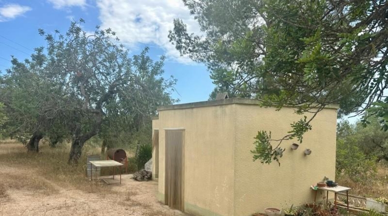 Tarragona - Tortosa - 25462m2