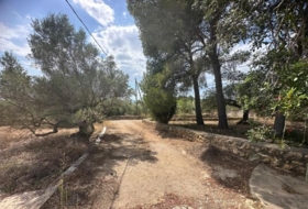 Tortosa 25462&nbsp;m²