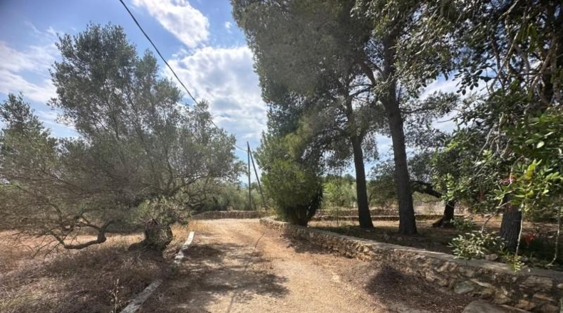Tarragona - Tortosa - 25462m2