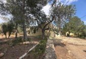 Country house with land for sale on España, Tortosa, ref: TR412728 photo