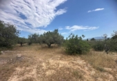 Country house with land for sale on España, Tortosa, ref: TR412728 photo