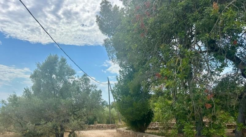 Tarragona - Tortosa - 25462m2