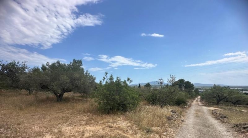 Tarragona - Tortosa - 25462m2