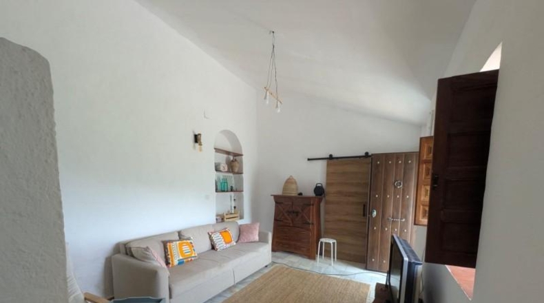 Málaga - Málaga - 8000m2