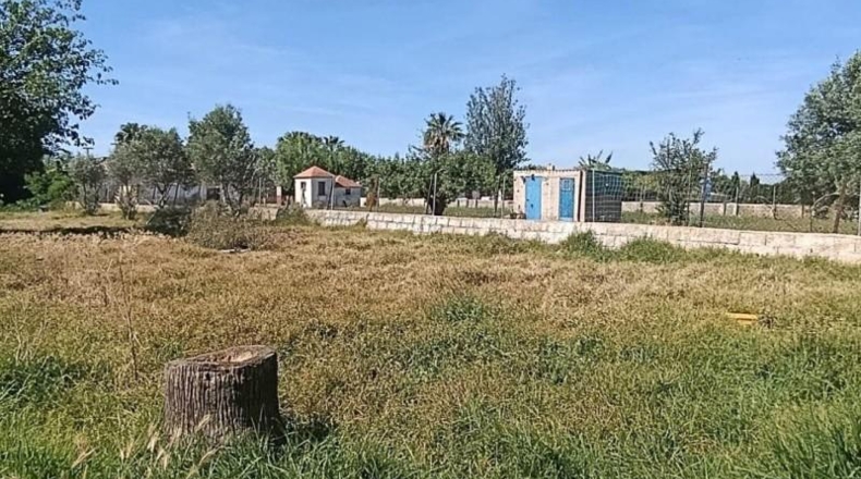 Islas Baleares - Palma - 1012m2