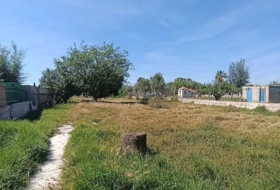 Palma 1012&nbsp;m²