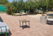 Chalet independiente con terreno en venta en la España, Albacete, ref: TR412763 foto