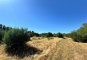 Terreno no urbanizable en venta en la España, Algaida, ref: TR412778 foto
