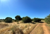 Terreno no urbanizable en venta en la España, Algaida, ref: TR412778 foto