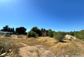 Algaida 14205&nbsp;m²