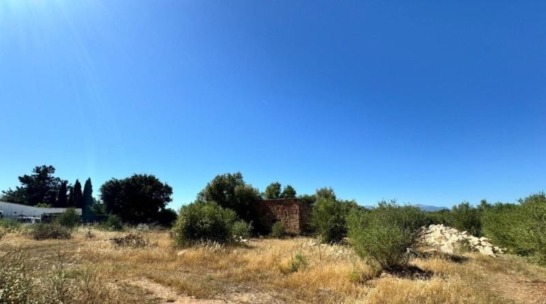 Islas Baleares - Algaida - 14205m2