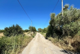Algaida 14205&nbsp;m²