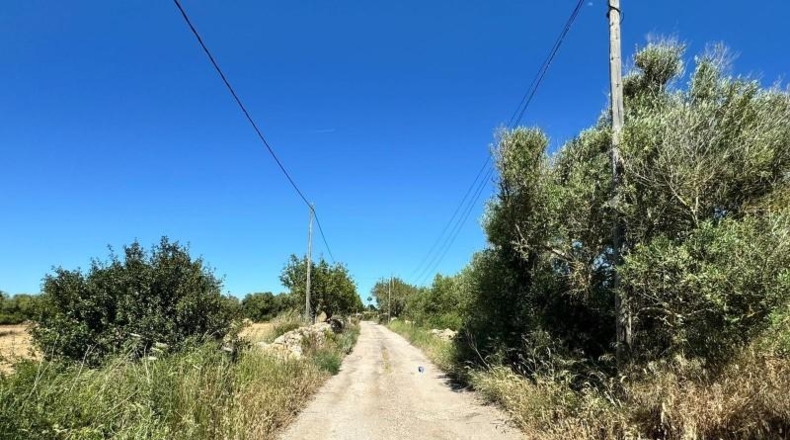Islas Baleares - Algaida - 14205m2