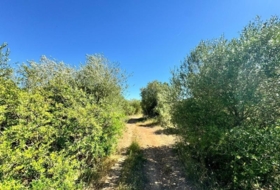 Algaida 14205&nbsp;m²