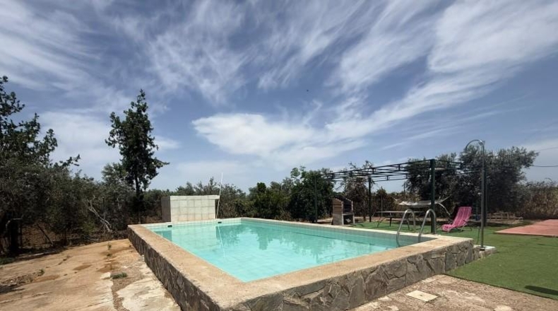 Sevilla - Utrera - 14200m2
