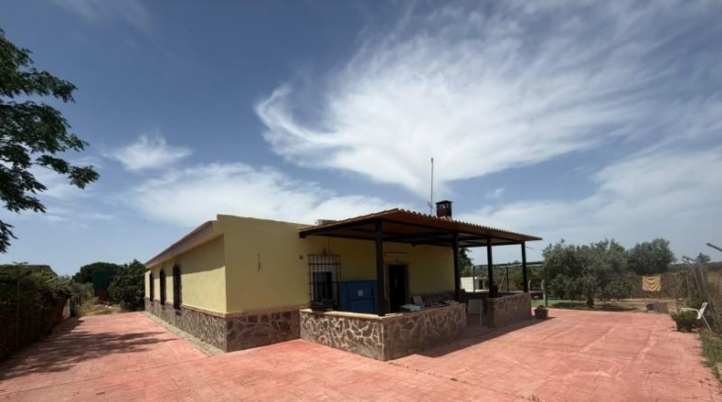 Sevilla - Utrera - 14200m2
