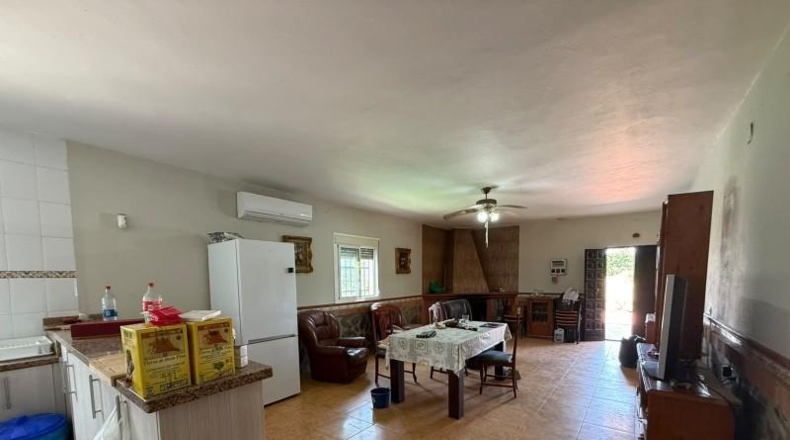 Sevilla - Utrera - 14200m2