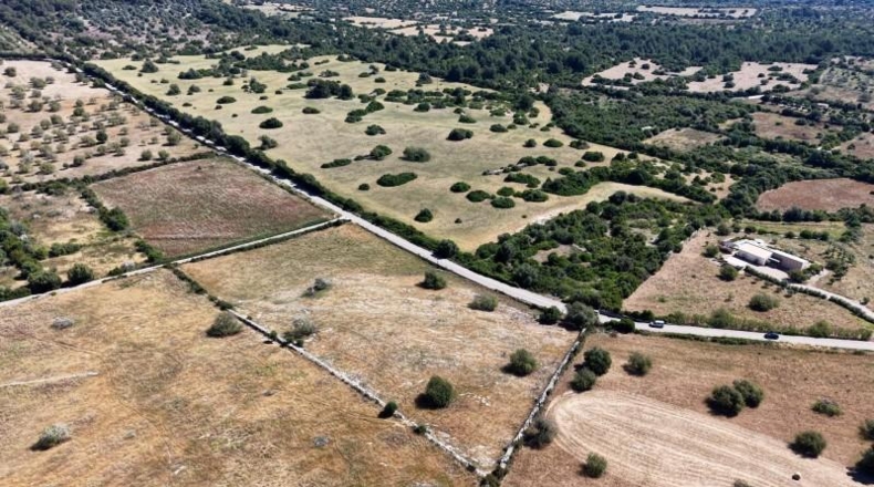 Islas Baleares - Son Servera - 14495m2