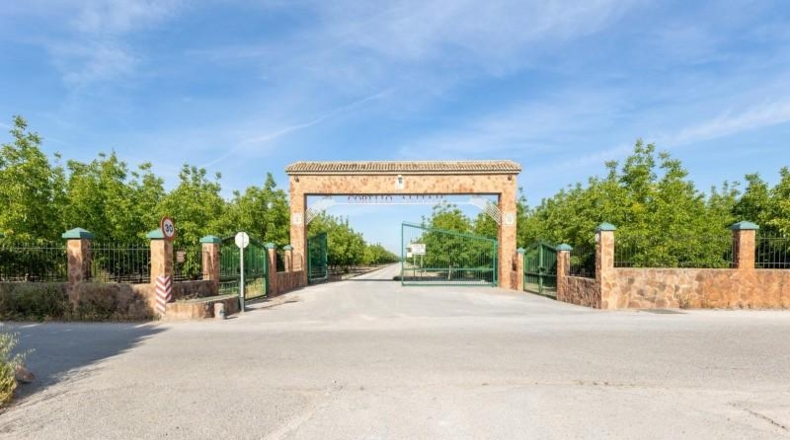Granada - Pinos Puente - 30000m2