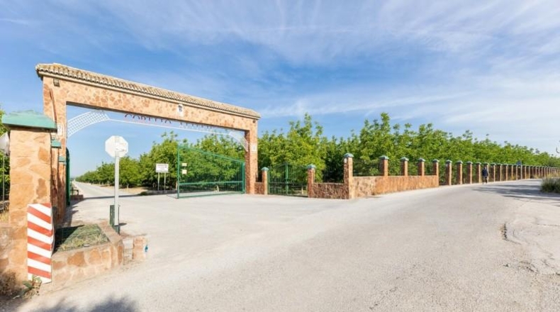 Granada - Pinos Puente - 30000m2