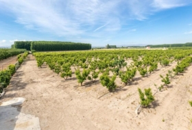 Pinos Puente 30000&nbsp;m²