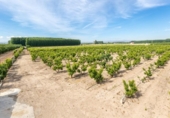 Terreno no urbanizable en venta en la España, Pinos Puente, ref: TR412817 foto