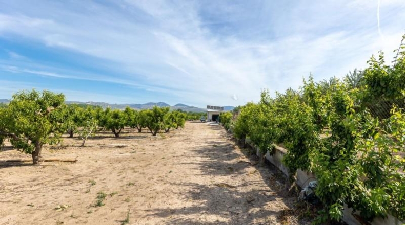 Granada - Pinos Puente - 30000m2