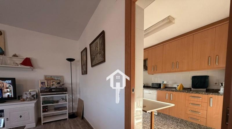 Alicante - Sant Vicent del Raspeig - 2762m2