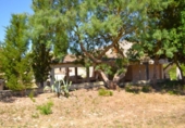 Finca rústica en venta en la España, Santa Margalida, ref: TR412830 foto