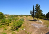 Finca rústica en venta en la España, Santa Margalida, ref: TR412830 foto