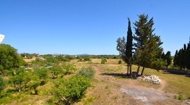 Islas Baleares - Santa Margalida - 7670m2