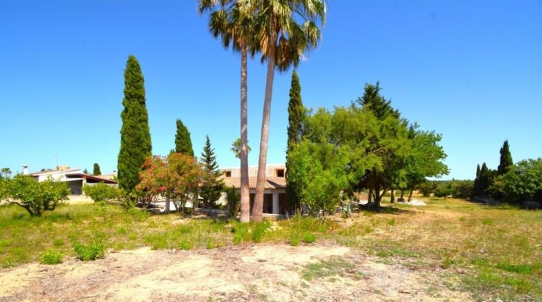 Islas Baleares - Santa Margalida - 7670m2