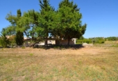 Finca rústica en venta en la España, Santa Margalida, ref: TR412830 foto