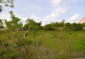 Finca rústica en venta en la España, Santa Margalida, ref: TR412830 foto