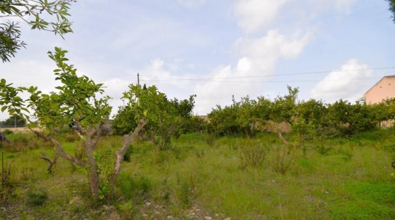 Islas Baleares - Santa Margalida - 7670m2