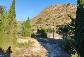 Foto 13