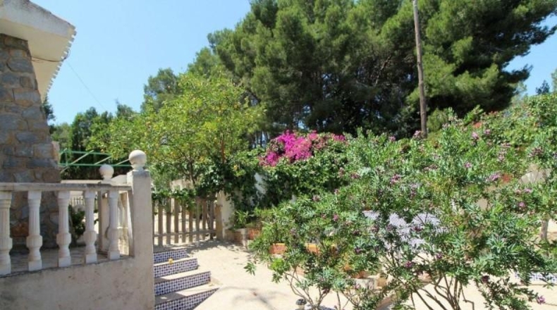 Alicante - Torrevieja - 938m2