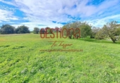 Finca rústica en venta en la España, Carriazo, ref: TR297436 foto