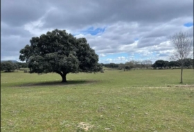 Galapagar 223247&nbsp;m²