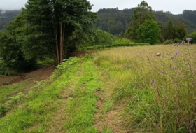 Sucamiño 4627&nbsp;m²