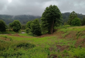 Sucamiño 4627&nbsp;m²