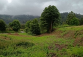 Sòl urbà en venda a Sucamiño ref.: TR412847 foto